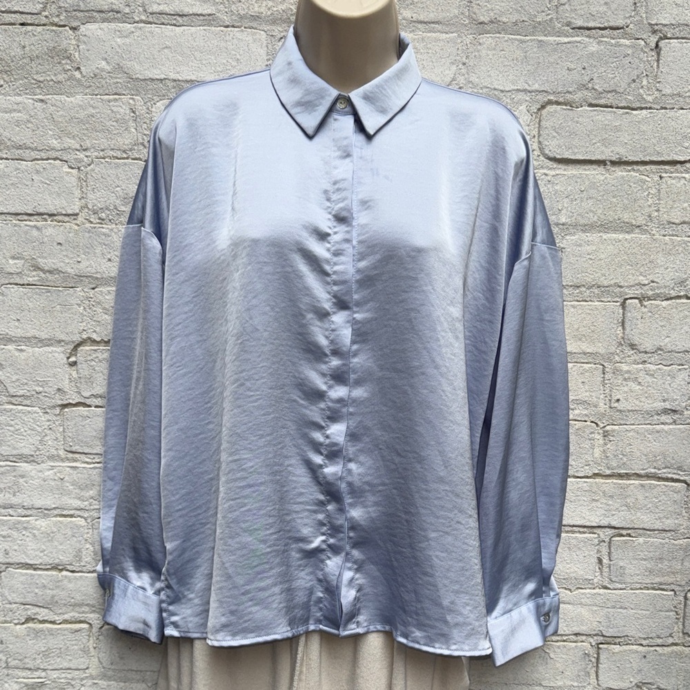 ZARA Long Sleeve Button Down Blouse